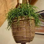 בית נופש La Bodangeoise Rural