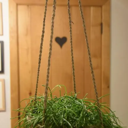 Dom wakacyjny La Bodangeoise Rural Fauvillers