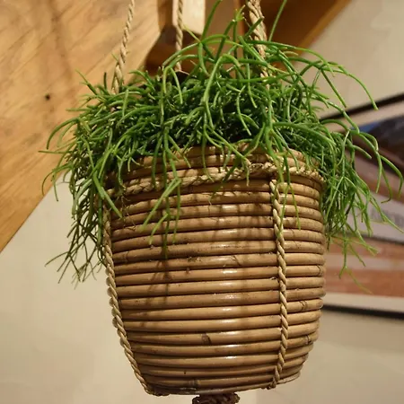 Dom wakacyjny La Bodangeoise Rural